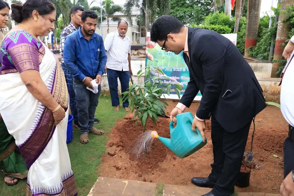 Plantation Program